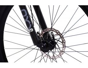 Horské jízdní kolo Capriolo OXYGEN 29"/21" černé (1)
