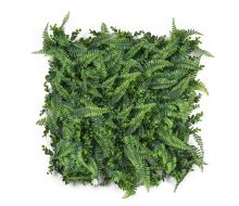 Umělá zelená stěna G21 Listo Ferns, 50x50 cm