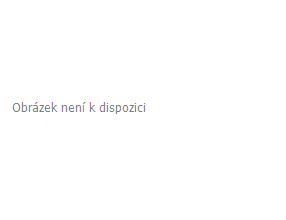 Držák FIXED Tab XL s dlouhou přísavkou na sklo nebo palubní desku pro  7 - 13" tablety (7)