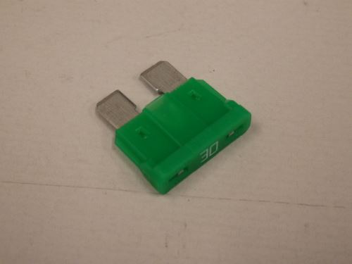 Fuse - F3 - 32V 30A, 50TLA210543