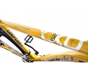 Horské jízdní kolo Capriolo OXYGEN 29"/19" žlutá (1)