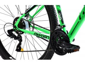Horské jízdní kolo Capriolo OXYGEN 29"/16" zelená (2)