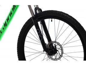 Horské jízdní kolo Capriolo OXYGEN 29"/16" zelená (3)