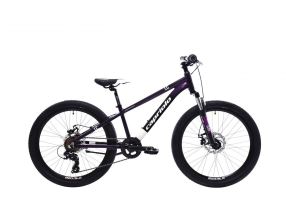 Horské jízdní kolo Capriolo MTB LC 24"/AL FIALOVO-MODRÝ