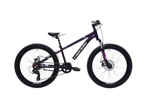Horské jízdní kolo Capriolo MTB LC 24"/AL FIALOVO-MODRÝ