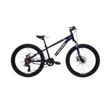 Horské jízdní kolo Capriolo MTB LC 24"/AL FIALOVO-MODRÝ