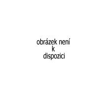 Žací struna Riwall PRO cívka struny RELT 3525 (MODEL DO R. 2019)