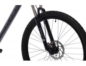 Horské jízdní kolo Capriolo OXYGEN 29"/21HT grey black red černé (3)