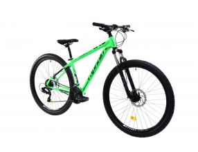 Horské jízdní kolo Capriolo OXYGEN 29"/16" zelená (6)